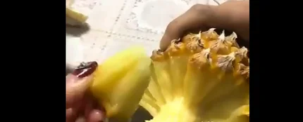 Imagen de la piña Imagen de la piña