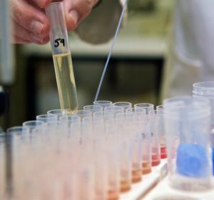 Una probeta en un laboratorio Una probeta en un laboratorio