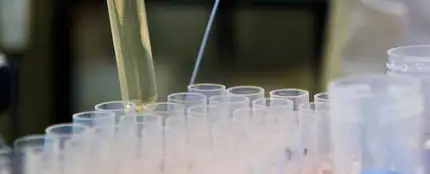 Una probeta en un laboratorio Una probeta en un laboratorio