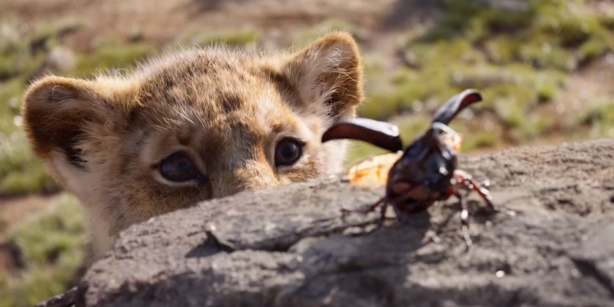 Simba en el remake de 'El Rey León'