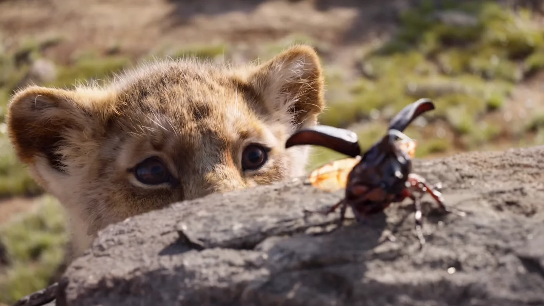Simba en el remake de 'El Rey León' Simba en el remake de 'El Rey León'