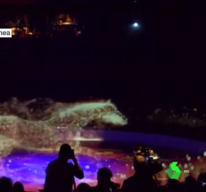 Hologramas en un circo Hologramas en un circo