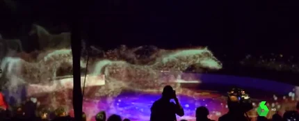 Hologramas en un circo Hologramas en un circo