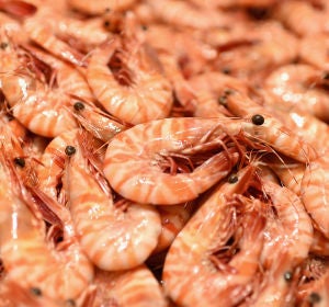 Imagen de unas gambas Imagen de unas gambas