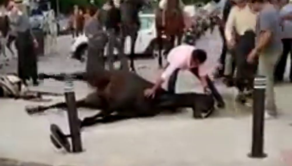 PACMA comparte una imágenes de un caballo sufriendo convulsiones durante la Feria de Sevilla