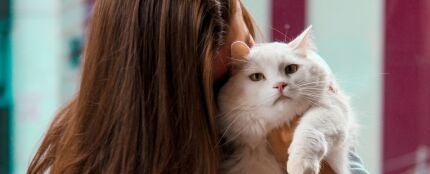 Una chica abrazando a un gato