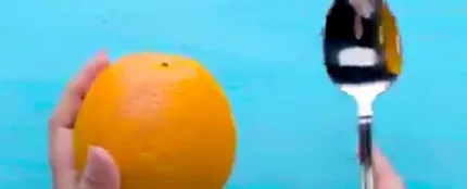 ¿Serías capaz de pelar una naranja con una cuchara? ¿Serías capaz de pelar una naranja con una cuchara?