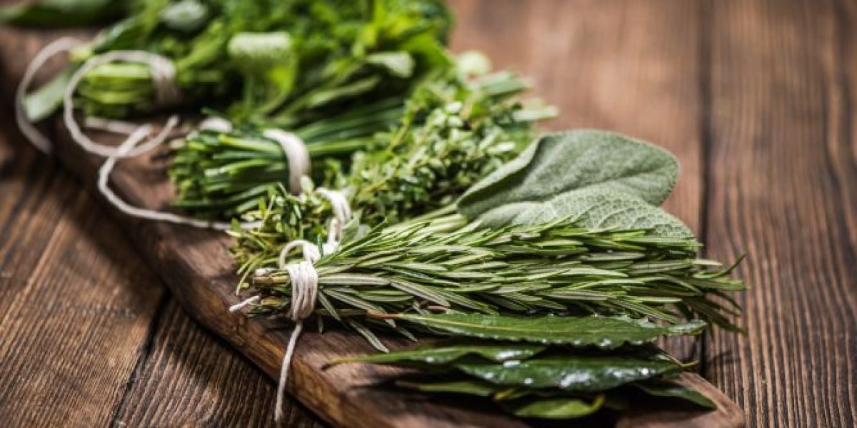 Cómo tener plantas aromáticas frescas y usarlas en la cocina