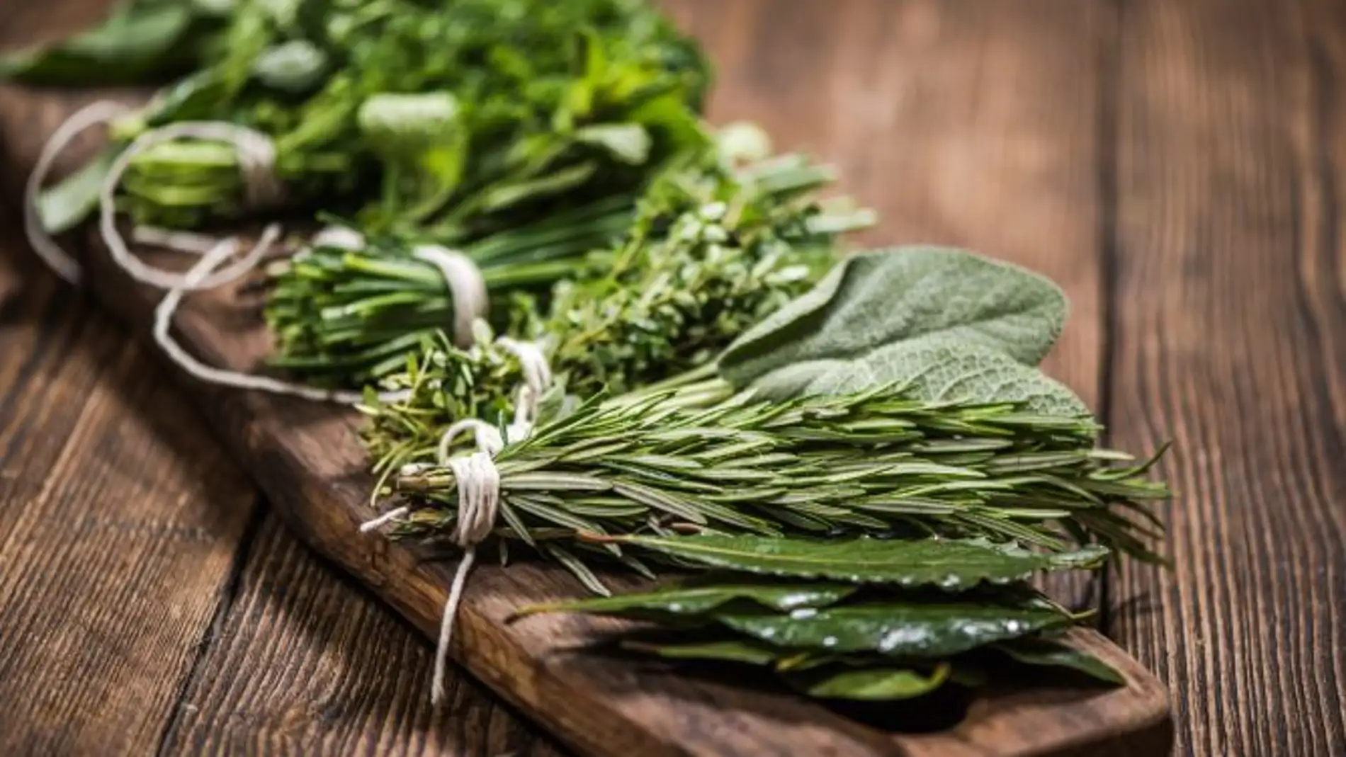 Cómo tener plantas aromáticas frescas y usarlas en la cocina