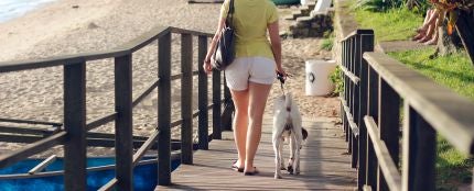 Una chica paseando el perro por la playa