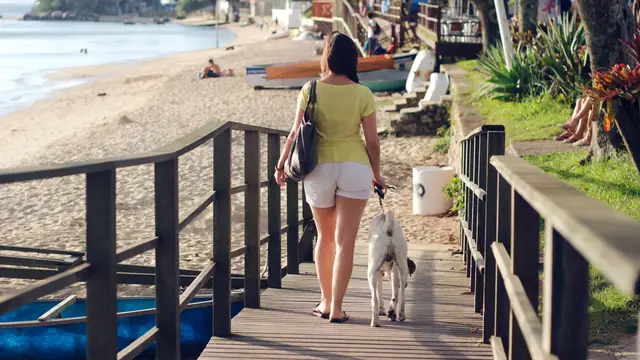 Una chica paseando el perro por la playa
