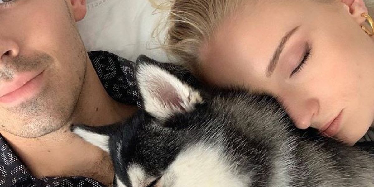Joe Jonas y Sophie Turner con su perro Waldo