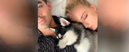 Sophie Turner y Joe Jonas con su perro Waldo