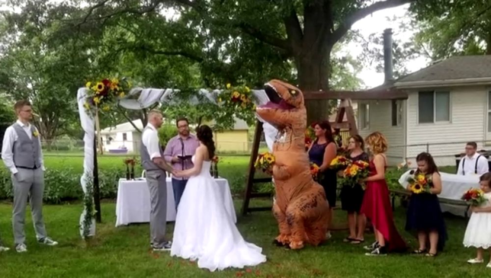 Una dama de honor se presenta en la boda de su hermana vestida de dinosaurio 