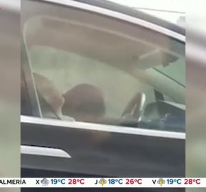 tesla tesla