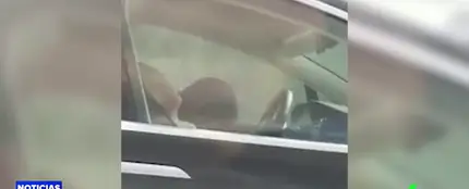tesla tesla