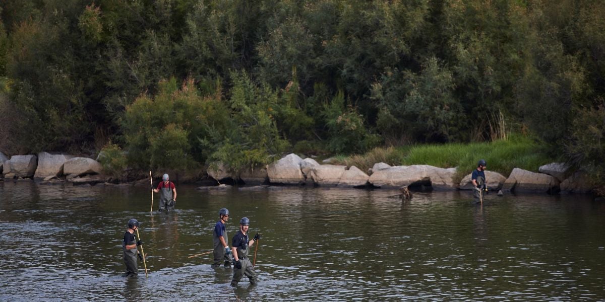 Agentes de los Mossos d'Escuadra y de los Bomberos buscan al bebé que fue lanzado al río Besòs