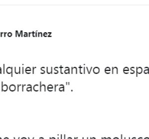 El tuit viral sobre los sinónimos de 'borrachera' El tuit viral sobre los sinónimos de 'borrachera'