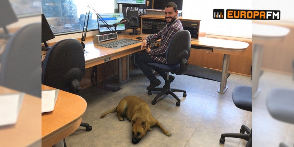 Filtro de perro Sasha Dog con Juanma Romero