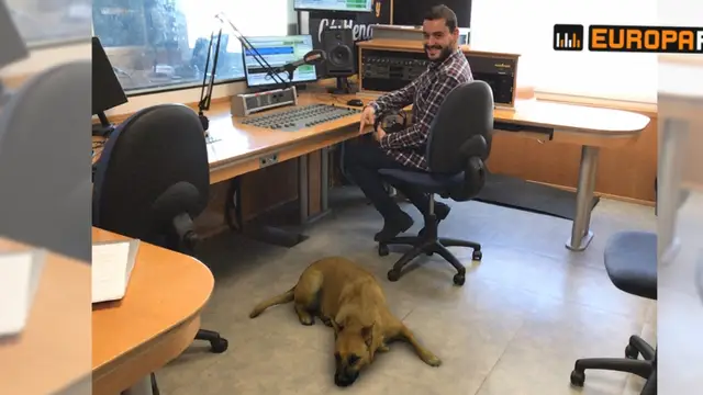 Filtro de perro Sasha Dog con Juanma Romero