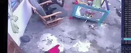 Gato salva a un niño Gato salva a un niño