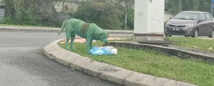 El perro pintado de verde buscando comida entre la basura