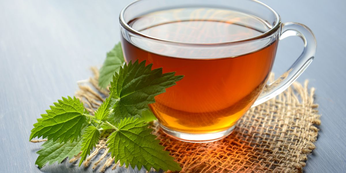 Té de menta