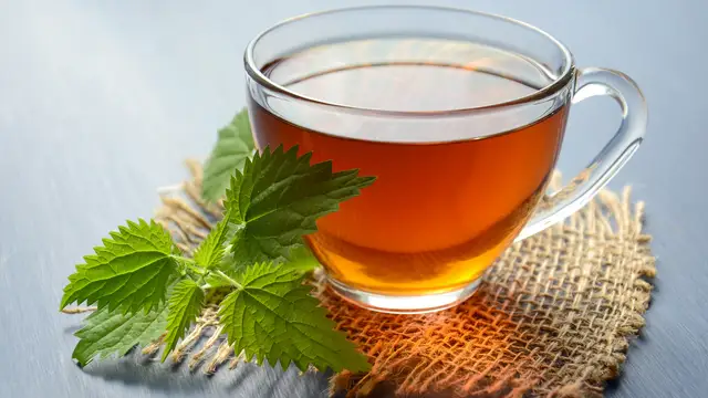Té de menta