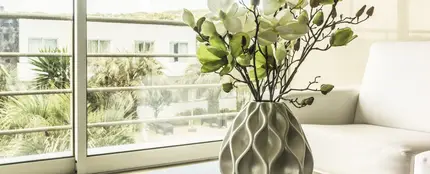 Un jarrón con unas flores Un jarrón con unas flores