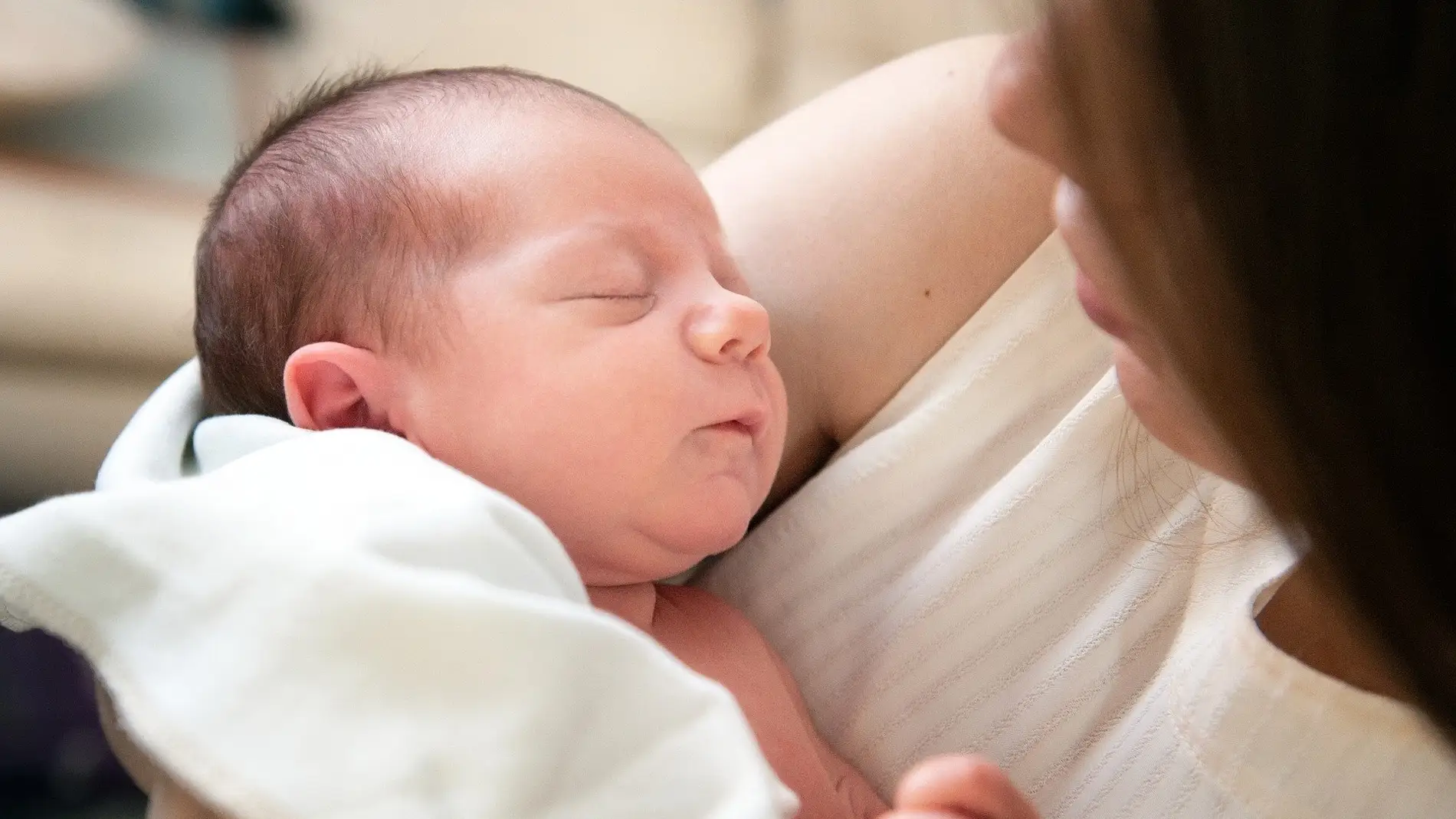 Las madres protegen a sus bebes gracias a cambios en el cerebro title=