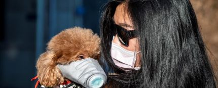 Una mujer pasea a su perro con mascarilla en Guangzhou (China)