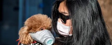 Una mujer pasea a su perro con mascarilla en Guangzhou (China) Una mujer pasea a su perro con mascarilla en Guangzhou (China)