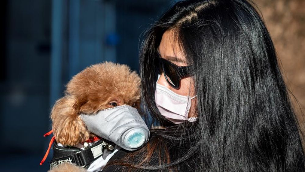 Una mujer pasea a su perro con mascarilla en Guangzhou (China)