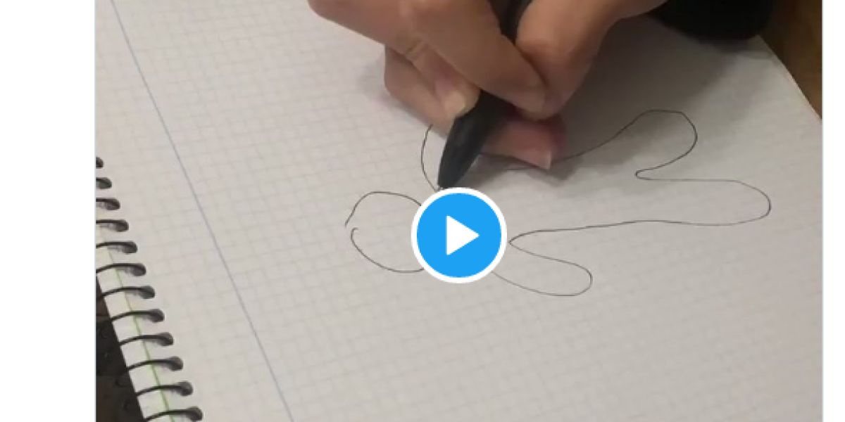 El tuit viral del truco con un boli, una hoja y una aguja