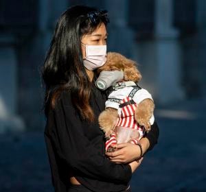 Mujer llevando a su perro con mascarilla Mujer llevando a su perro con mascarilla