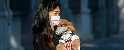 Mujer llevando a su perro con mascarilla Mujer llevando a su perro con mascarilla