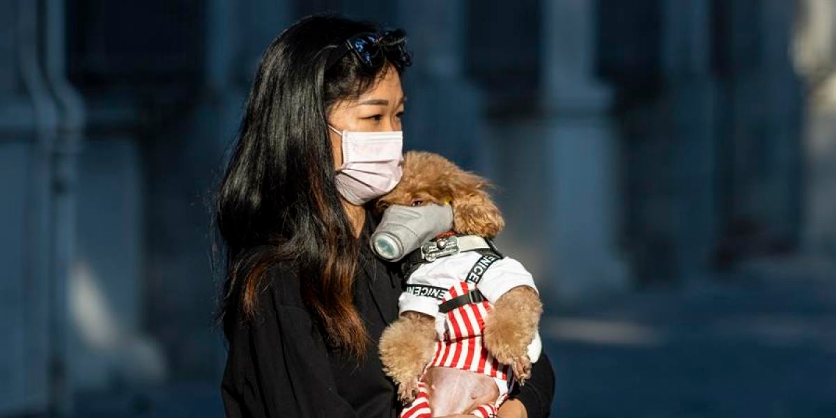 Mujer llevando a su perro con mascarilla