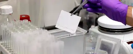 Investigación en laboratorio Investigación en laboratorio
