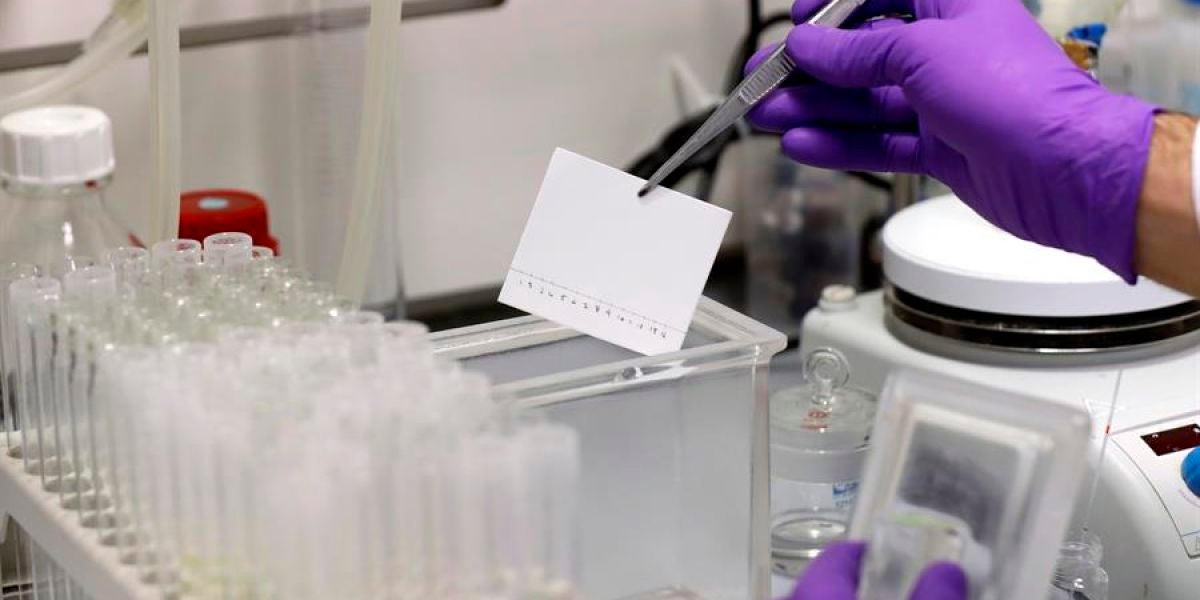 Investigación en laboratorio