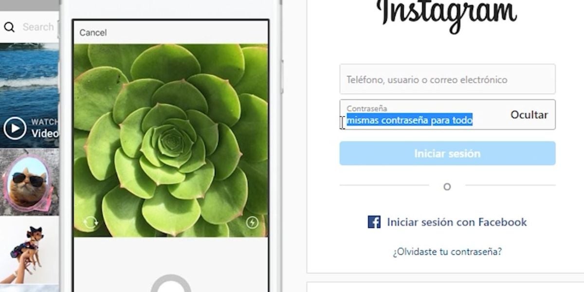 Contraseña Instagram