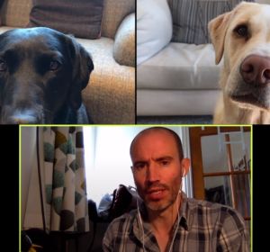 Divertida videollamada 'de negocios' con sus mascotas Divertida videollamada 'de negocios' con sus mascotas