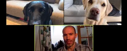 Divertida videollamada 'de negocios' con sus mascotas Divertida videollamada 'de negocios' con sus mascotas