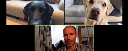 Divertida videollamada 'de negocios' con sus mascotas Divertida videollamada 'de negocios' con sus mascotas