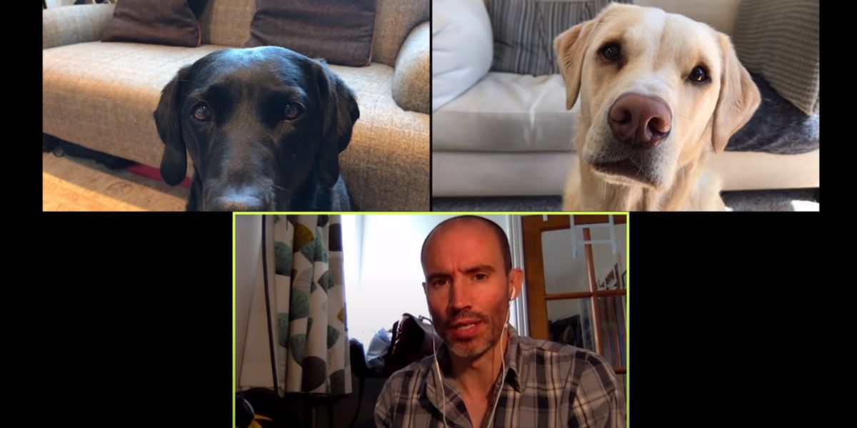 Divertida videollamada 'de negocios' con sus mascotas