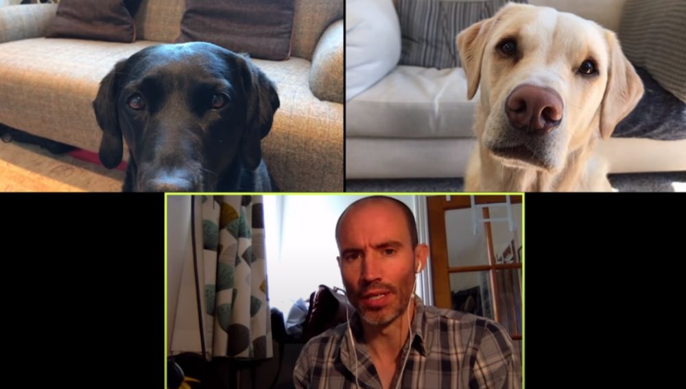 Divertida videollamada 'de negocios' con sus mascotas