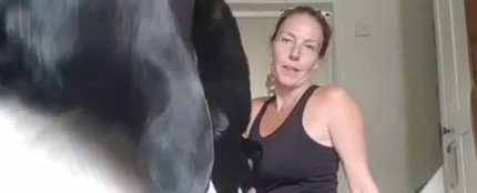Un perro irrumpe en la clase de una instructora de yoga Un perro irrumpe en la clase de una instructora de yoga