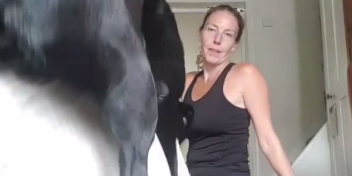 Un perro irrumpe en la clase de una instructora de yoga