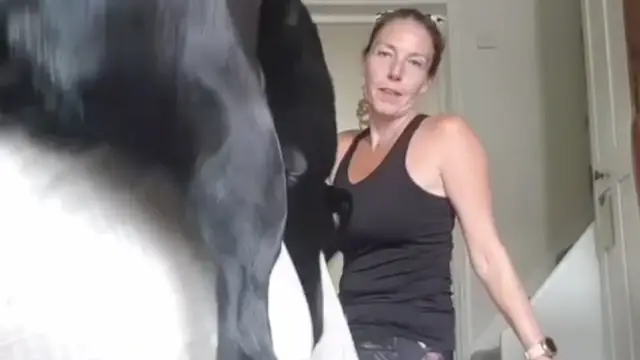Un perro irrumpe en la clase de una instructora de yoga