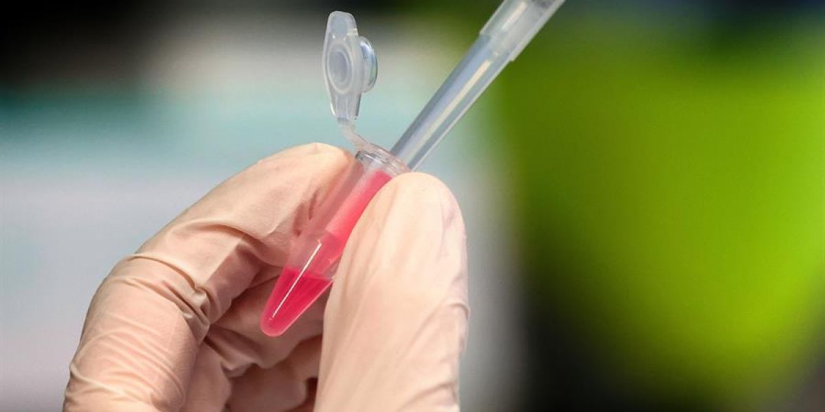 Test de coronavirus