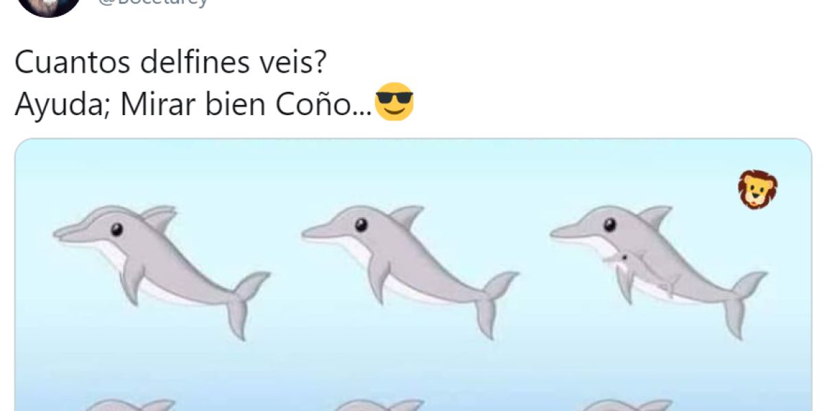 Reto visual: ¿Cuántos delfines ves?
